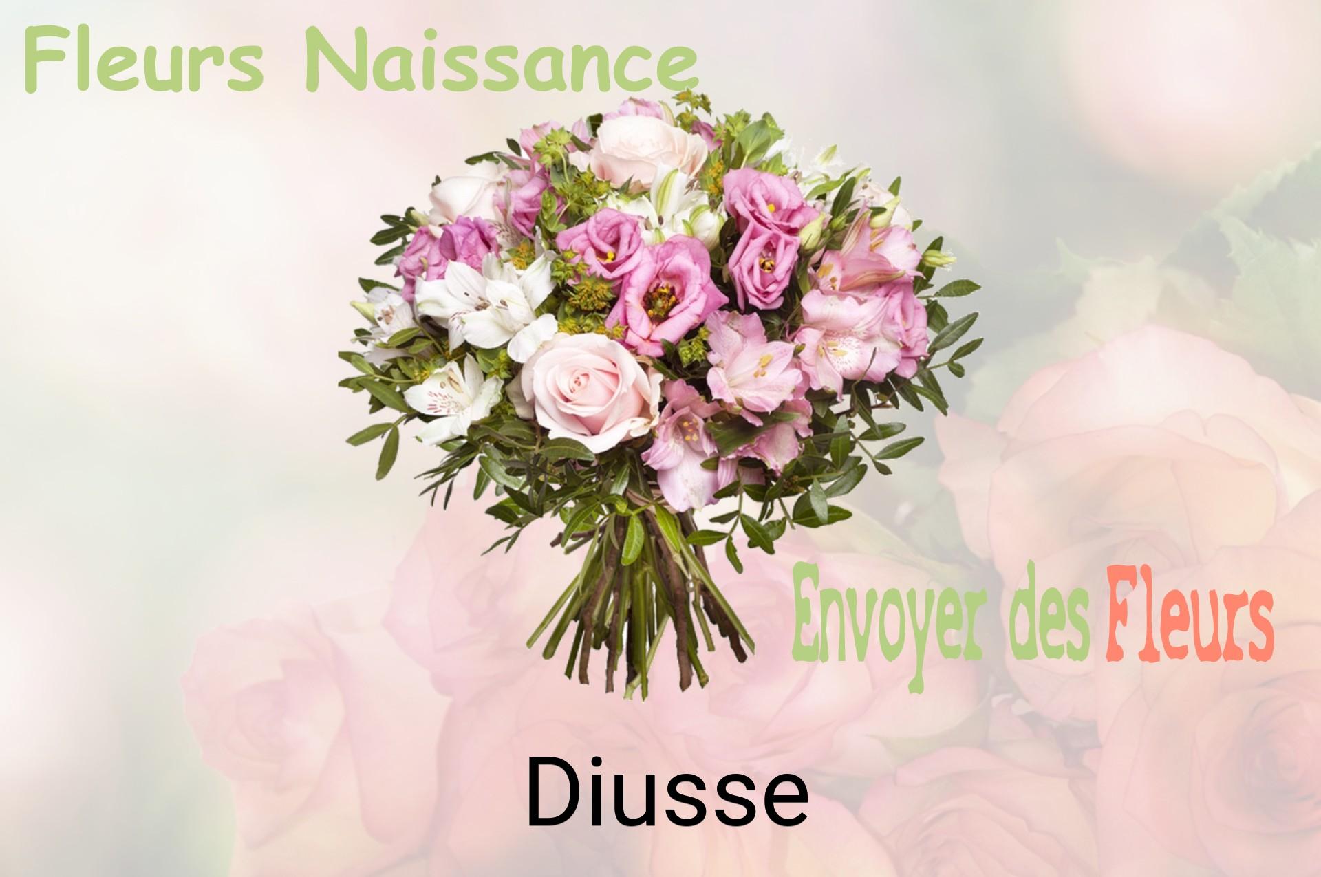 Bouquet de fleurs de naissance livré à Diusse