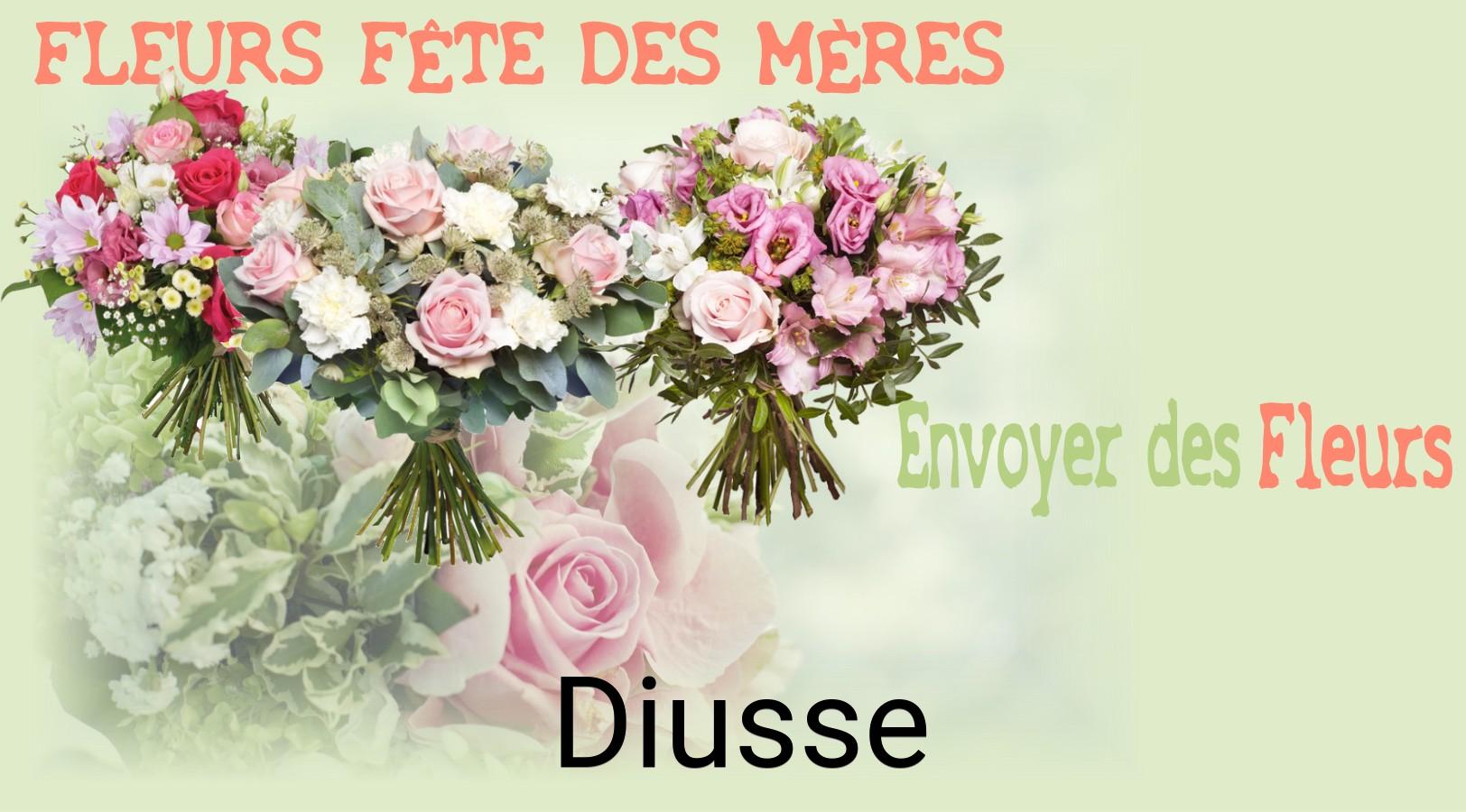 Bouquet de Fête des Mères livré à Diusse